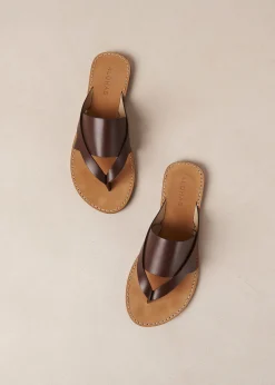 Eugene - Sandalias De Dedo Marrones De Piel