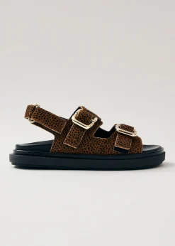 Harper Sandalias De Ante Caqui