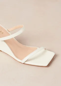<meta Name="twitter:description" Content="Mules De Cuero Azul Con Cuña